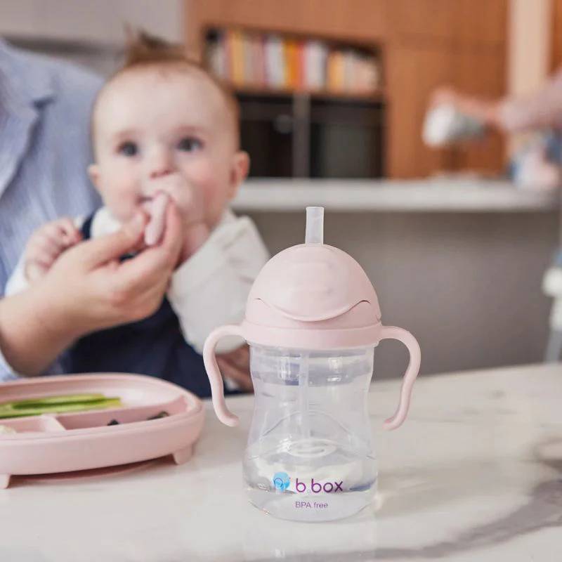 Sippy Cup - 8oz - Image 26