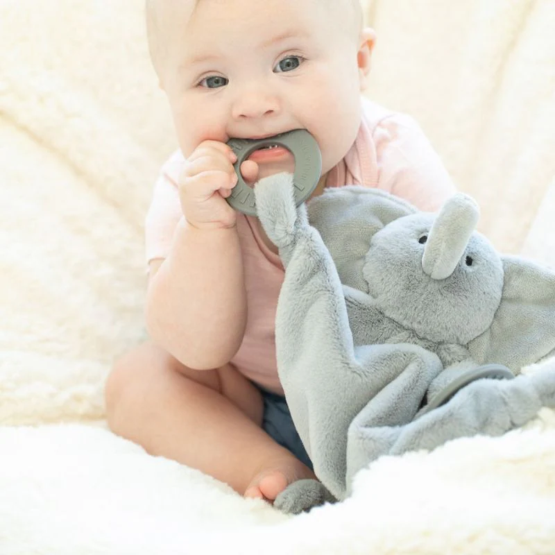 Teether Buddy - Image 21