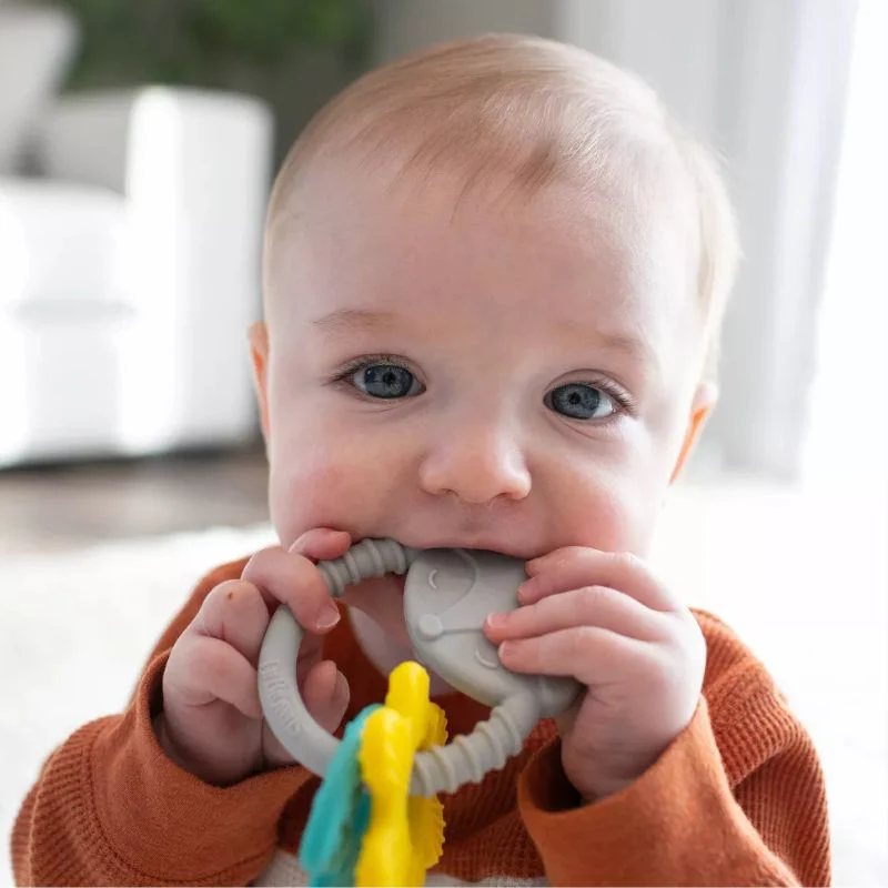 Learning Loop Teether - Image 5
