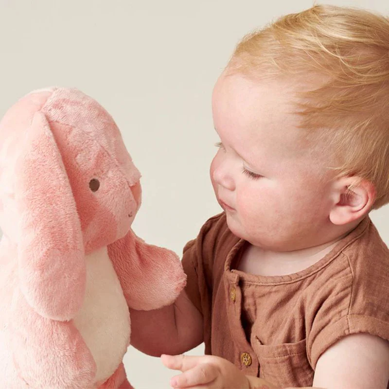 Sweetie Snuggles Plush Toy - Image 5