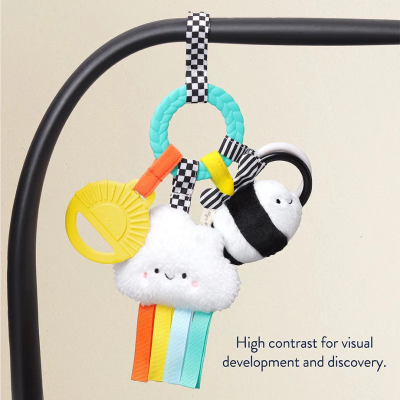 Bitzy Busy Ring Teething Activity Toy - Image 17