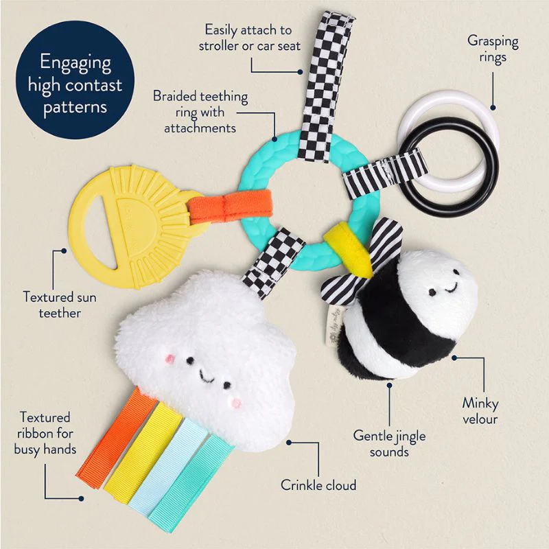 Bitzy Busy Ring Teething Activity Toy - Image 18