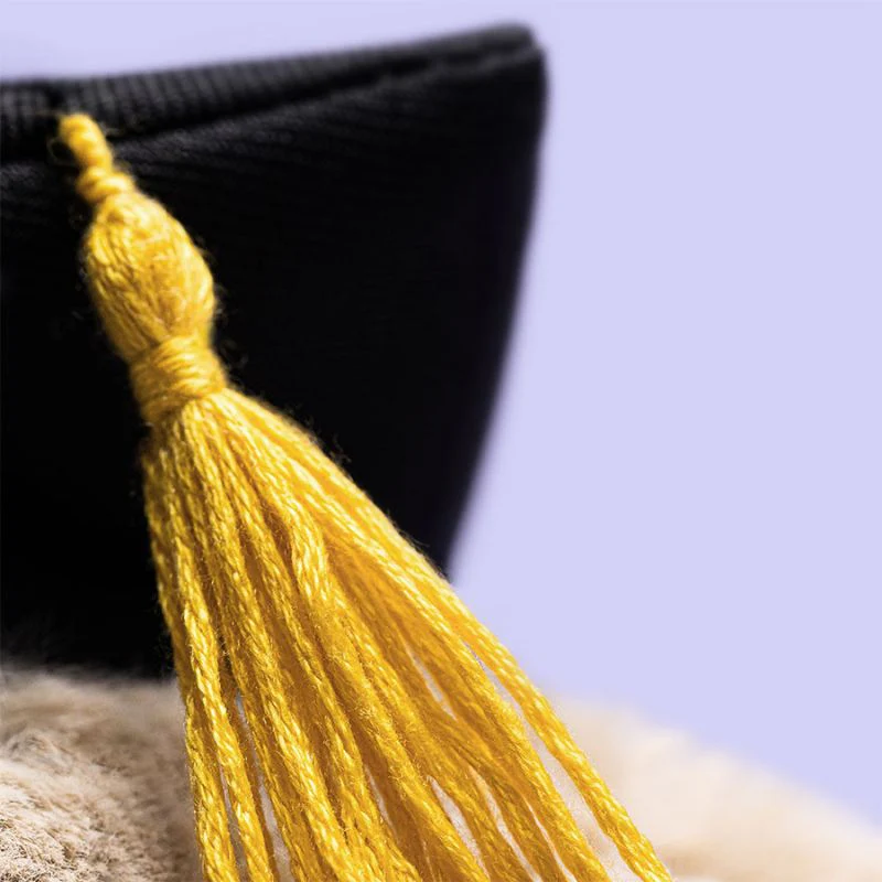 Bashful Bunny Graduation Outfit - Image 5
