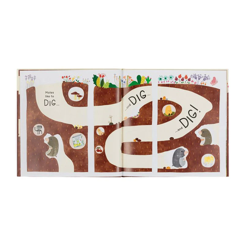 Muswell Mole and the Buried Treasure Book - Image 4
