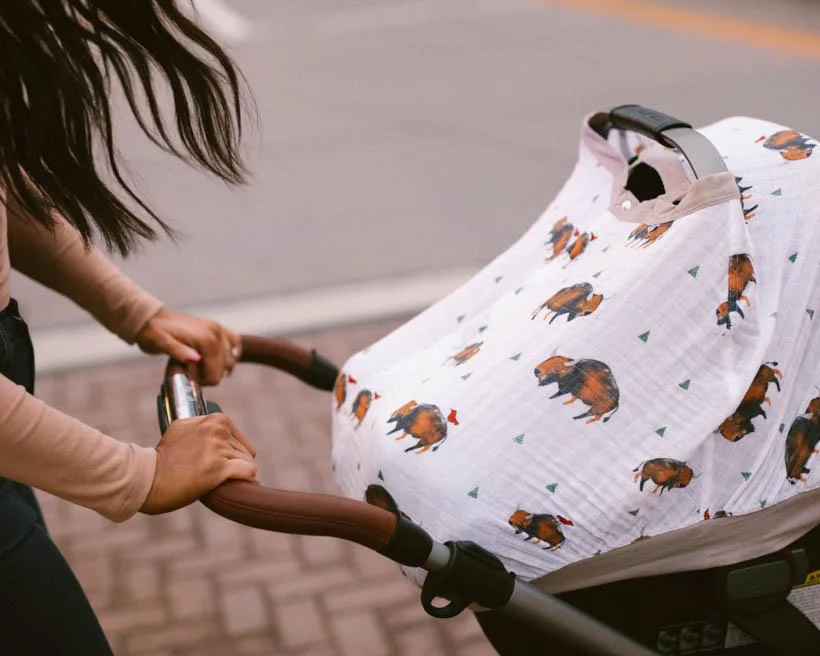 Car Seat Canopies - Image 13