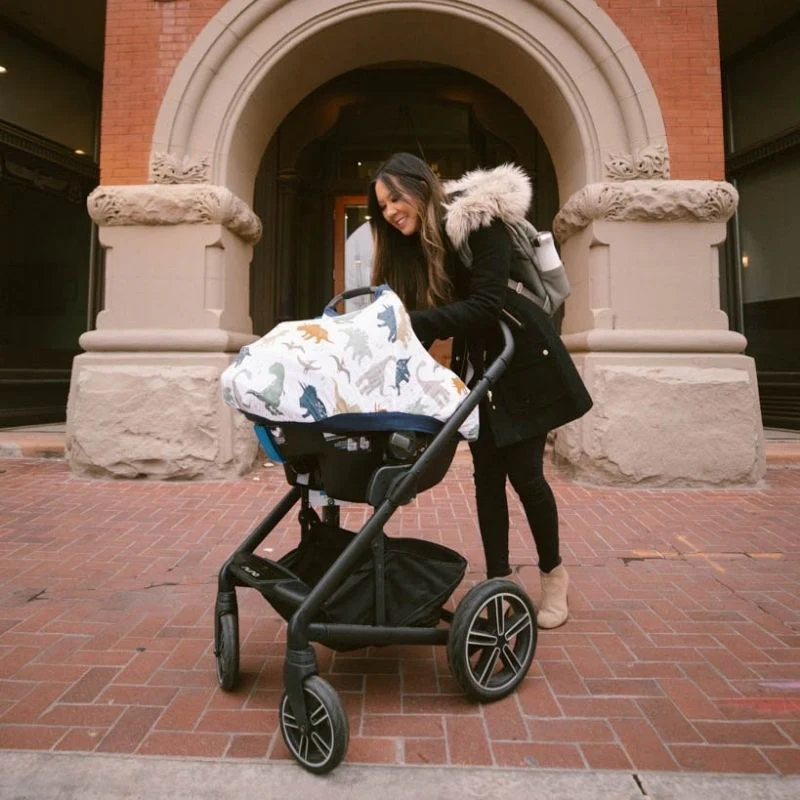 Car Seat Canopies - Image 45
