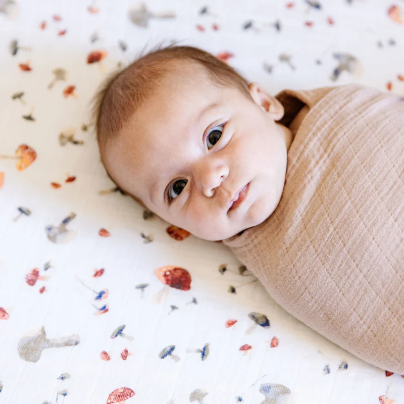 Cotton Muslin Crib Sheets - Image 109