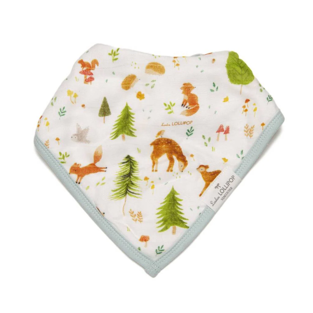 Muslin Bandana Bib Set - 2 Pack - Image 12