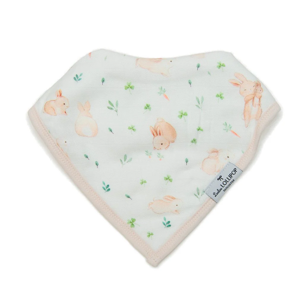 Muslin Bandana Bib Set - 2 Pack - Image 22
