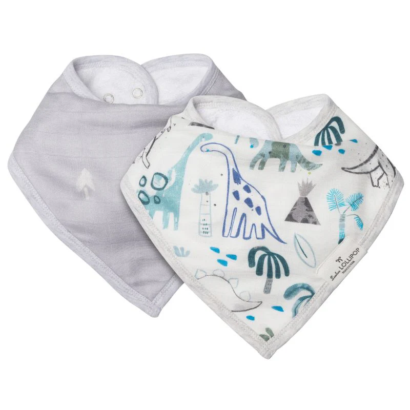 Muslin Bandana Bib Set - 2 Pack - Image 42