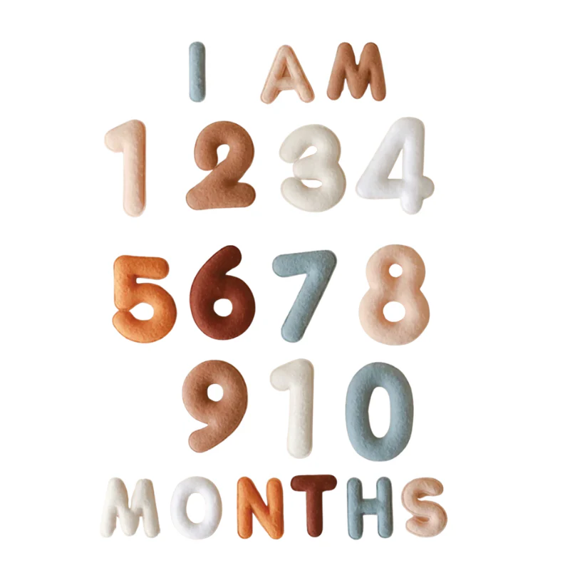 Monthly Milestone Baby Felt Letters - Neutral