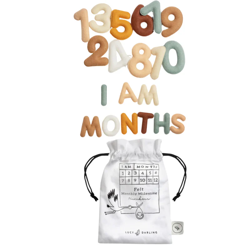 Monthly Milestone Baby Felt Letters - Neutral - Image 2