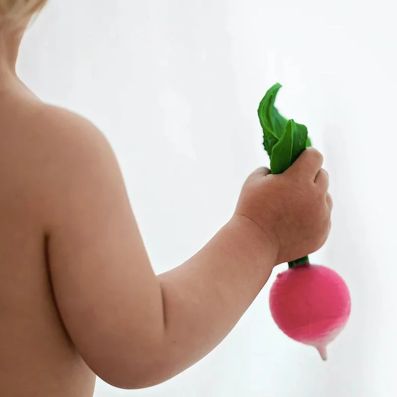 Fruit and Veggie Teethers - Image 33