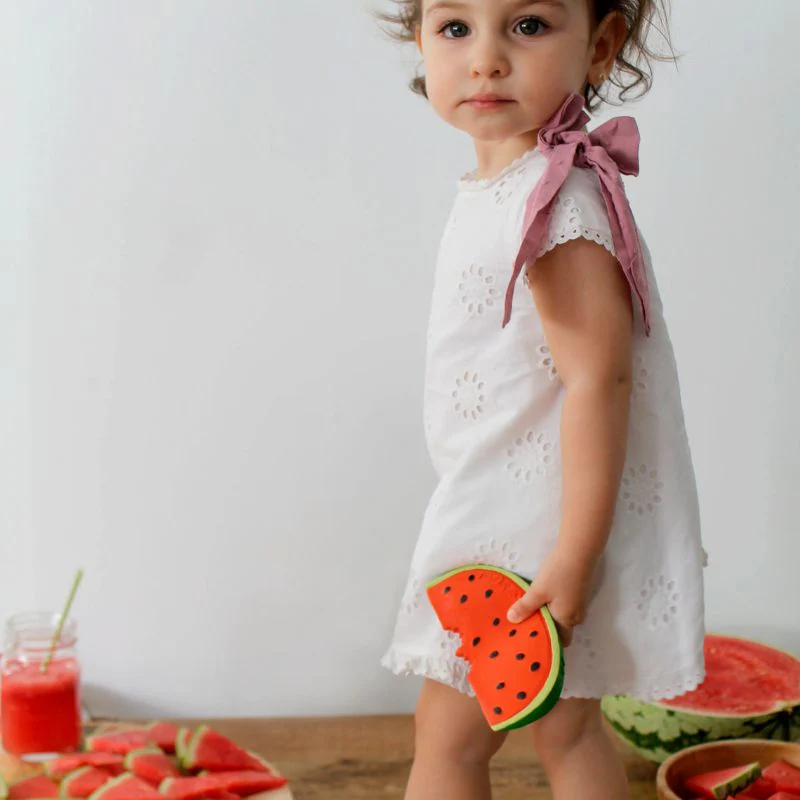 Fruit and Veggie Teethers - Image 36