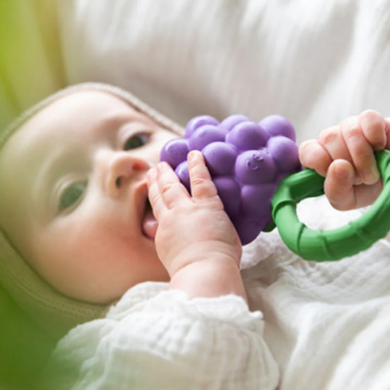 Fruit & Veggie Rattle Toy - Image 10