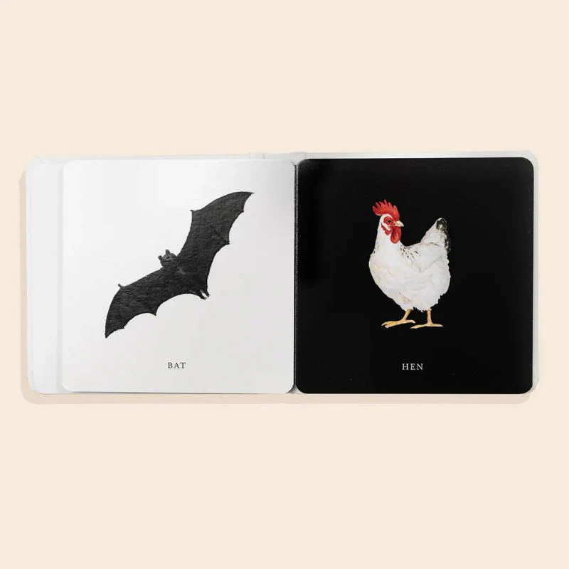 Baby's Black and White Contrast Book - Image 3