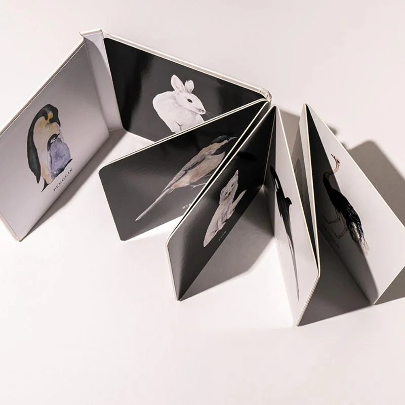 Baby's Black and White Contrast Book - Image 4