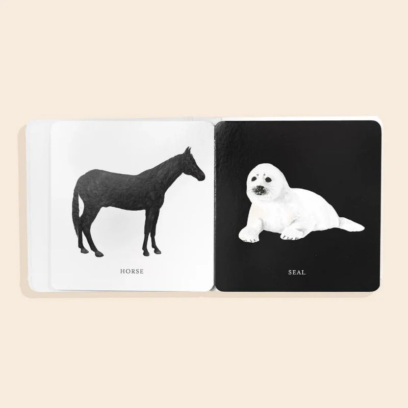 Baby's Black and White Contrast Book - Image 5
