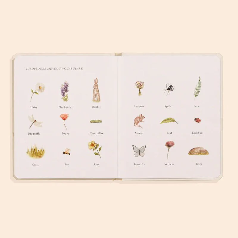Our Little Adventures Box Set - Image 4
