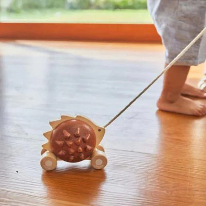 Pull-Along Hedgehog - Image 10