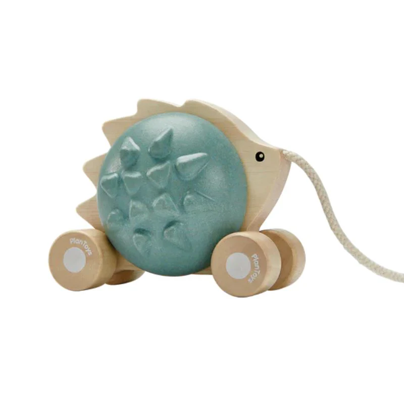 Pull-Along Hedgehog - Image 11