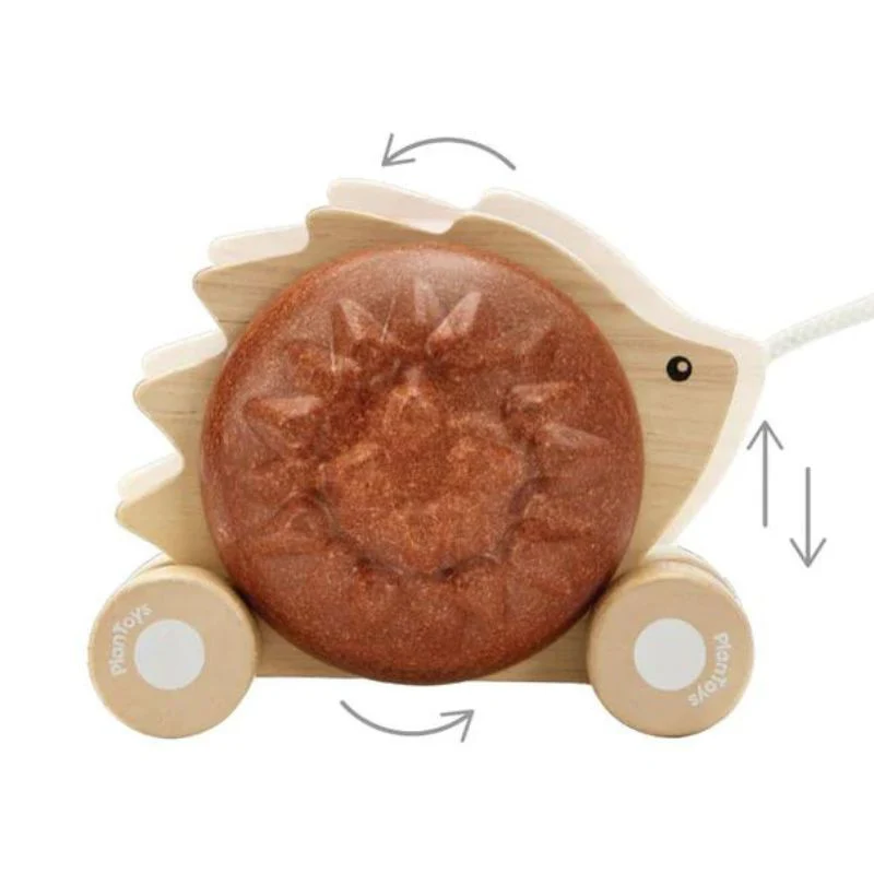 Pull-Along Hedgehog - Image 6
