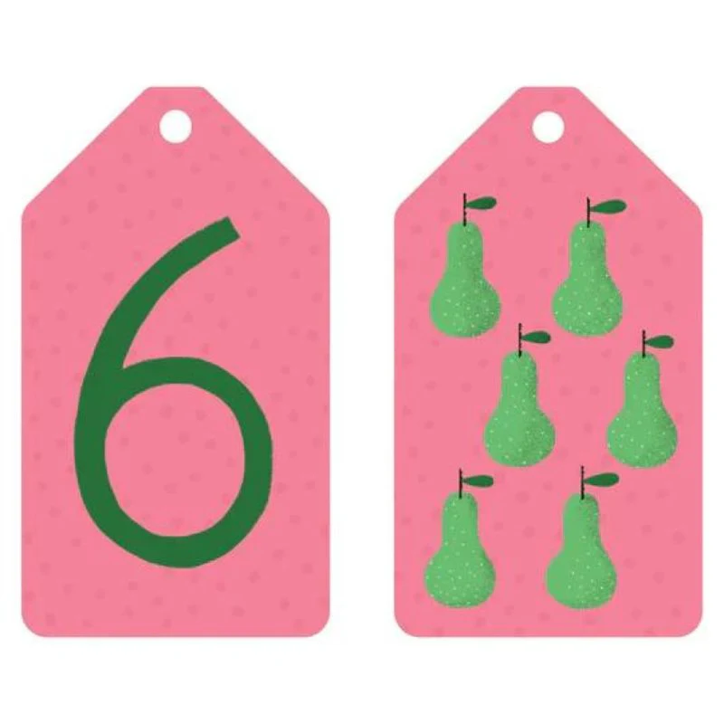 Mudpuppy Ring Flash Cards - Image 23