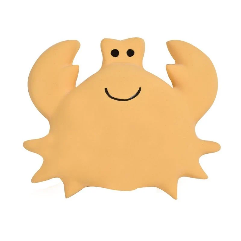 Natural Whale Rattle - Image 14