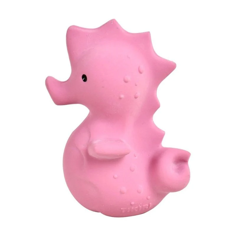 Natural Whale Rattle - Image 15