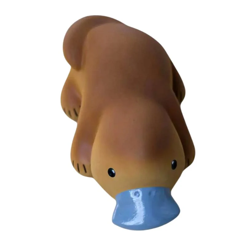 Natural Whale Rattle - Image 30