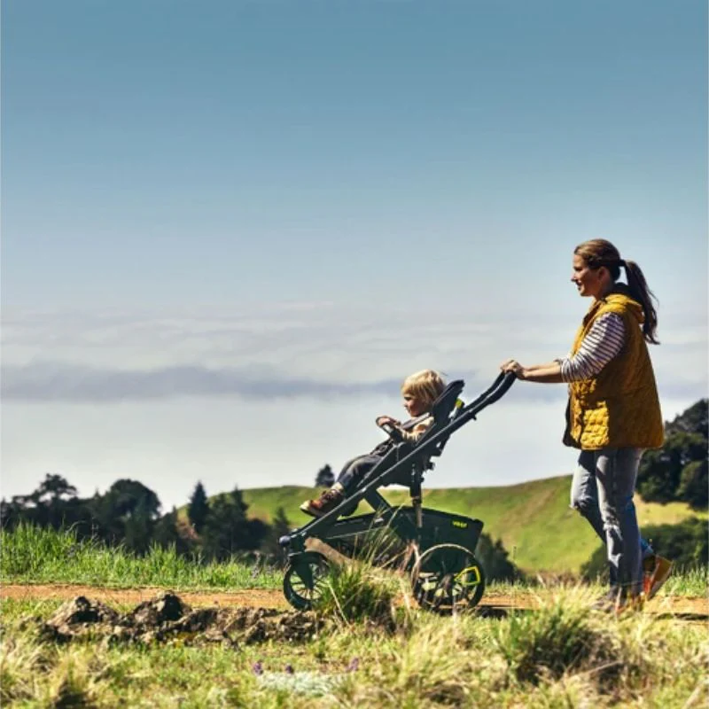 Switchback &Roll Stroller Frame - Image 8